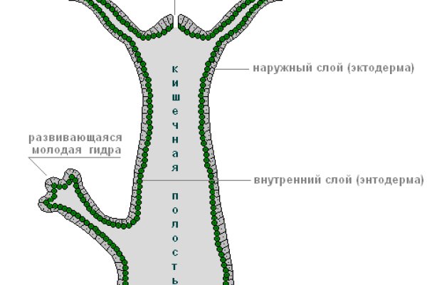 Взломали аккаунт кракен