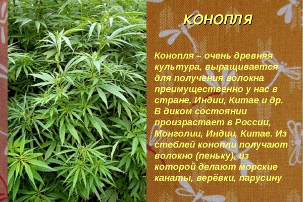Актуальная ссылка на кракен в тор 2krnmarket